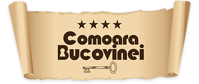 Comoara Bucovinei Accommodation Bucovina