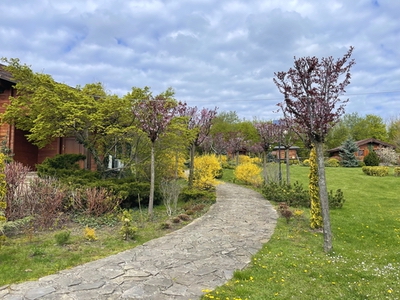 Comoara Bucovinei
